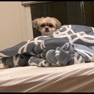 Meet your Posher, Stacey